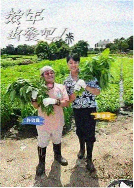 综艺在线观看 荒野同路人 海报